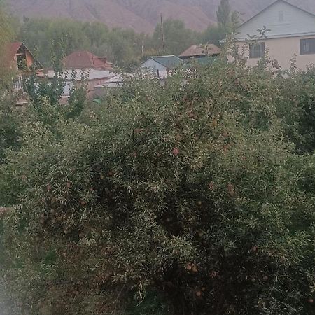 "Kamchybek Ata" Guest House B&B Tert-Kul' Dış mekan fotoğraf