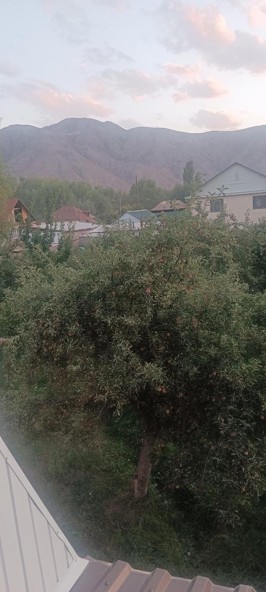 "Kamchybek Ata" Guest House B&B Tert-Kul' Dış mekan fotoğraf